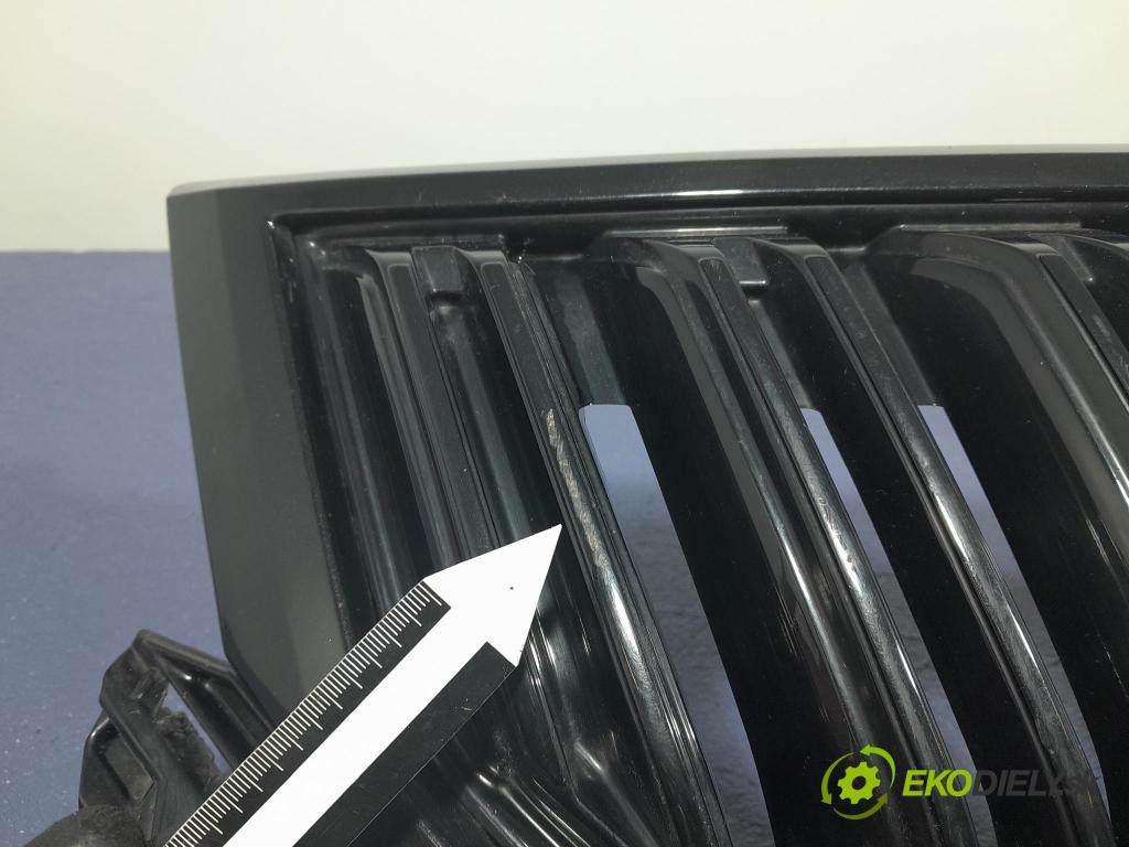 Skoda Kodiaq 2020 miežka / Gril: 565853663E