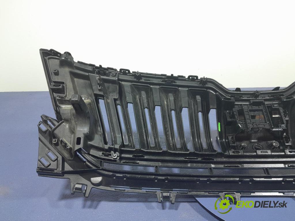 Skoda Kodiaq 2020 miežka / Gril: 565853663E
