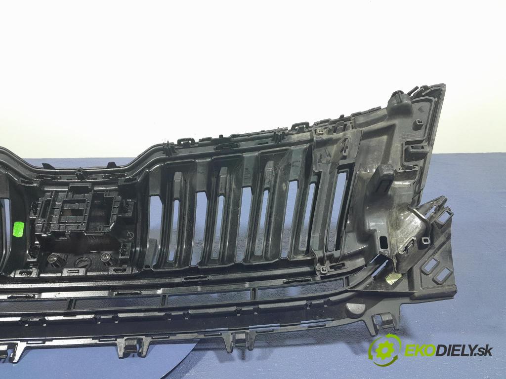 Skoda Kodiaq 2020 miežka / Gril: 565853663E