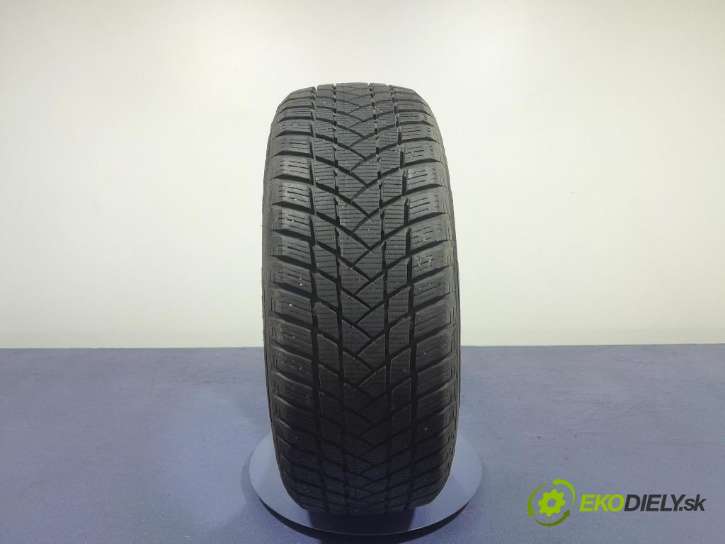 Renault Megane scenic 2006 pneumatiky: Zima 6932877105448