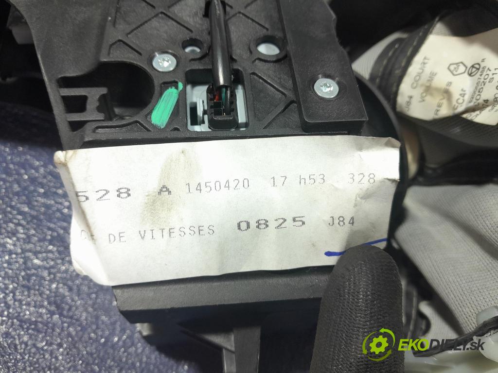 Renault Megane scenic 2006 kulisa Změny Ozubené kola: 8200580825