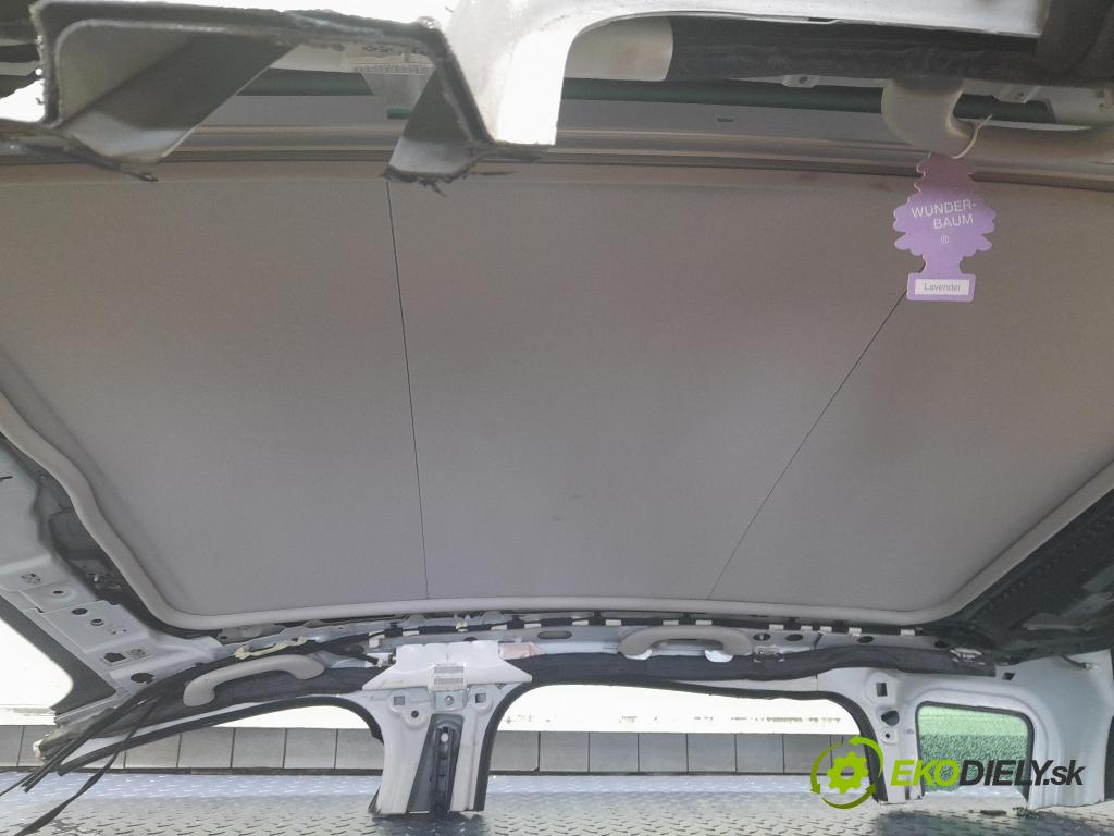 Peugeot 3008 2013 Strecha: 