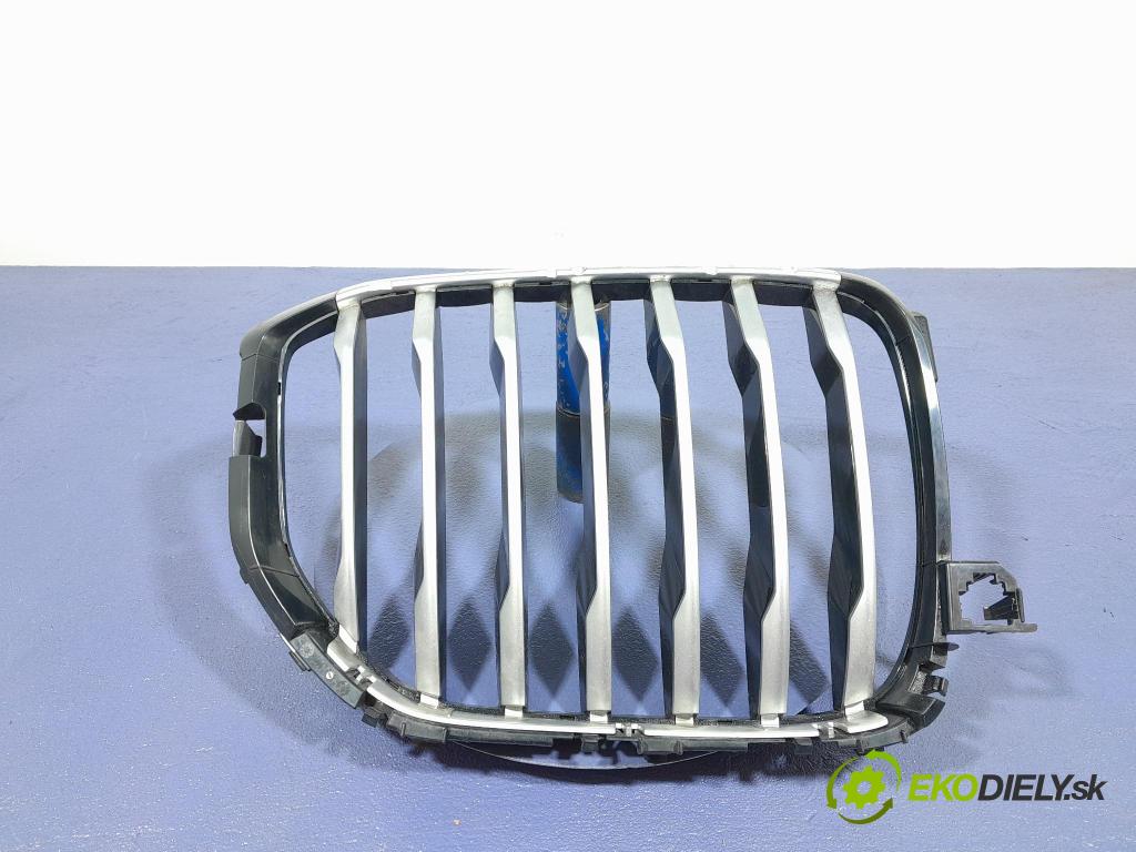 Bmw X5 2020 miežka / Gril: