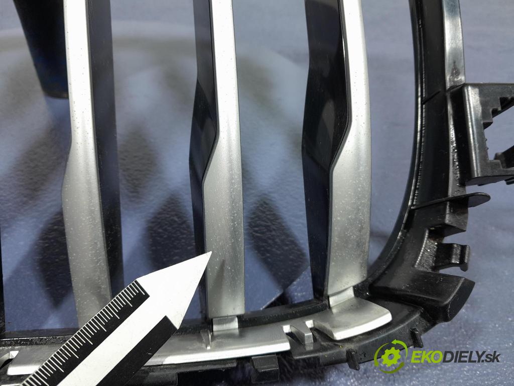 Bmw X5 2020 miežka / Gril: