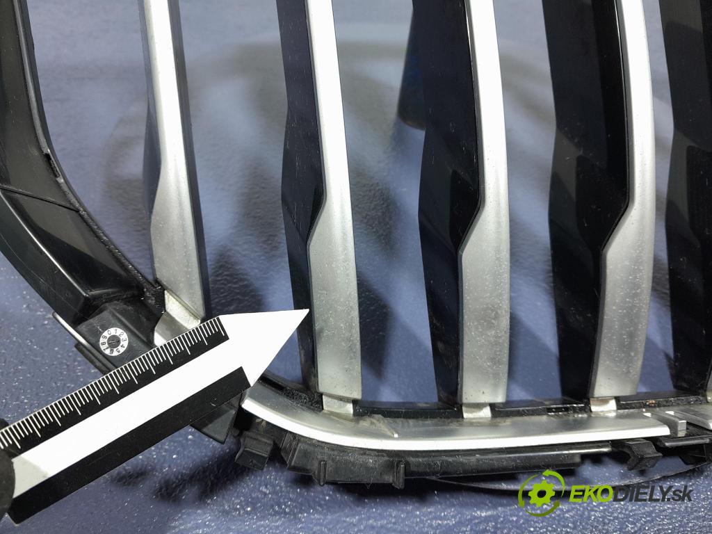 Bmw X5 2020 miežka / Gril: