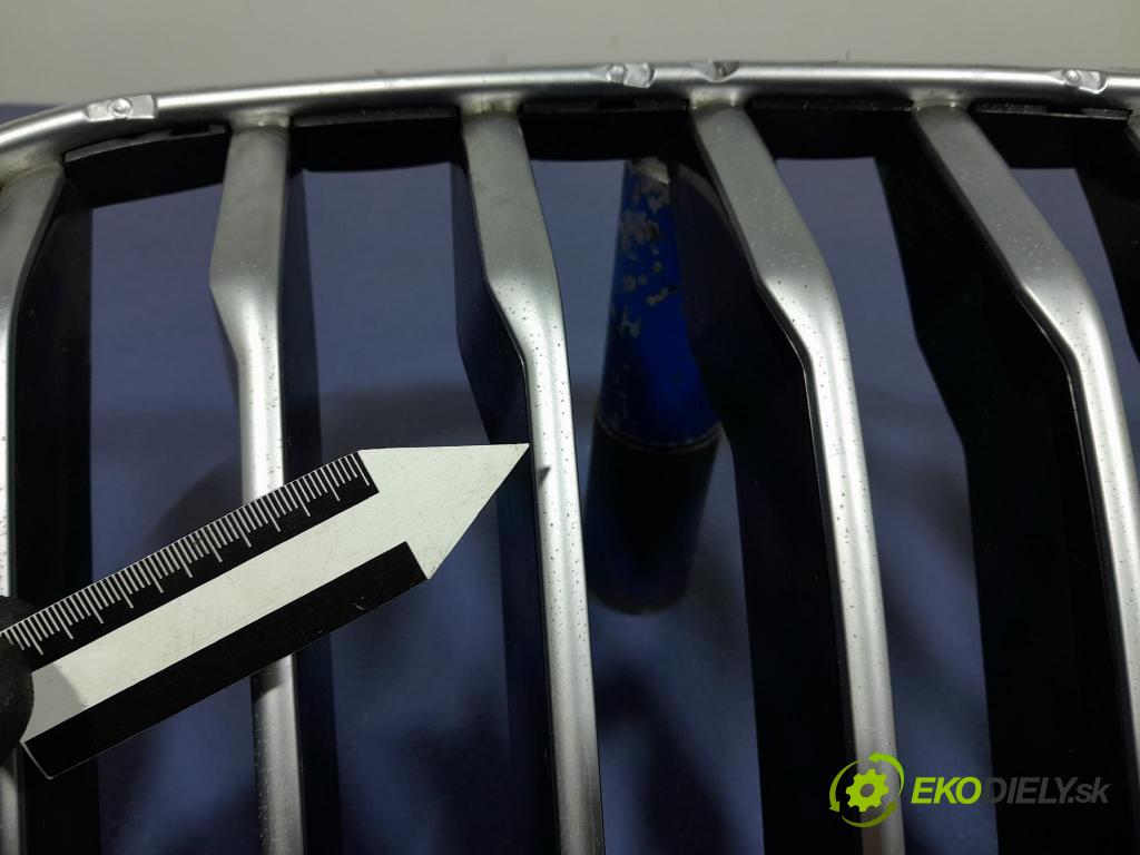 Bmw X5 2020 miežka / Gril: