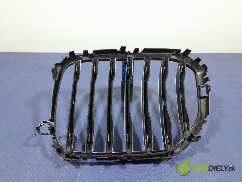 Bmw X5 2020 mřížka / Gril: 