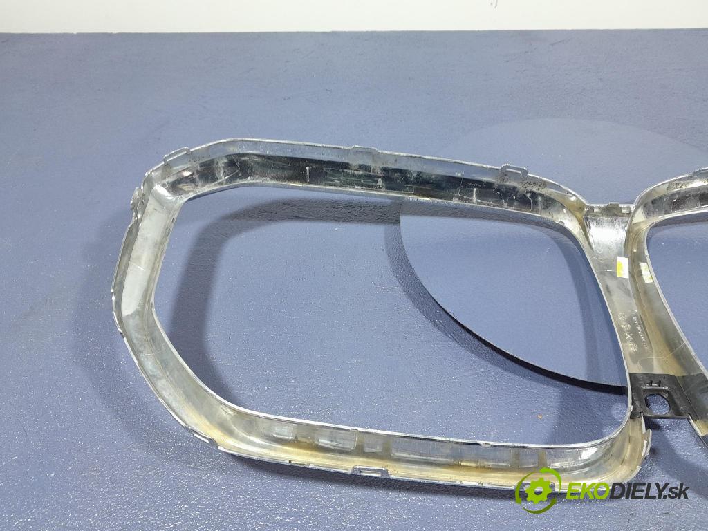 Bmw X5 2020 mřížka / Gril: 20240006541