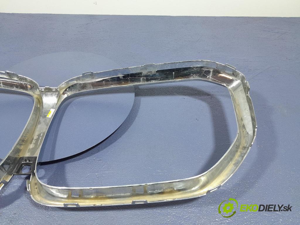 Bmw X5 2020 mřížka / Gril: 20240006541