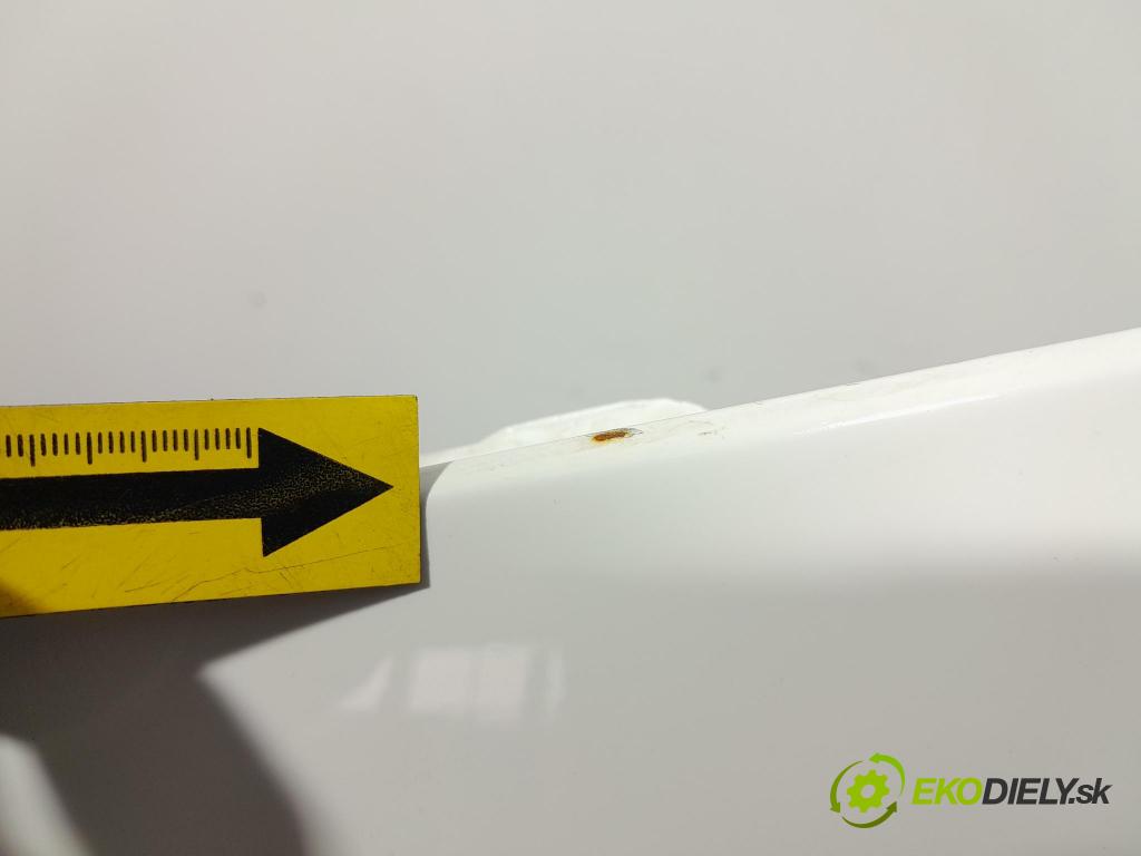 Vw Passat 2009 blatnik před Levý: 