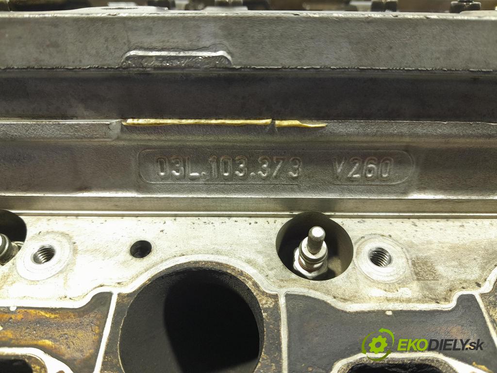 Vw Passat 2009 Hlava: Motor: 03L103373