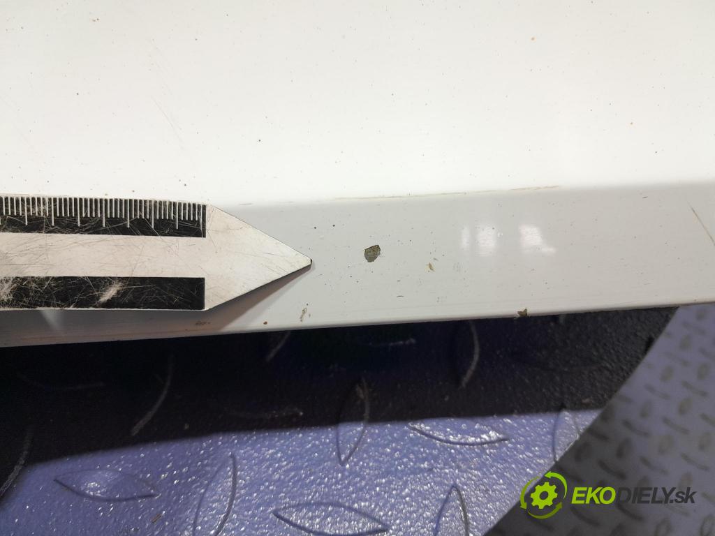 Renault Clio 2008 dvere Predné Vľavo: