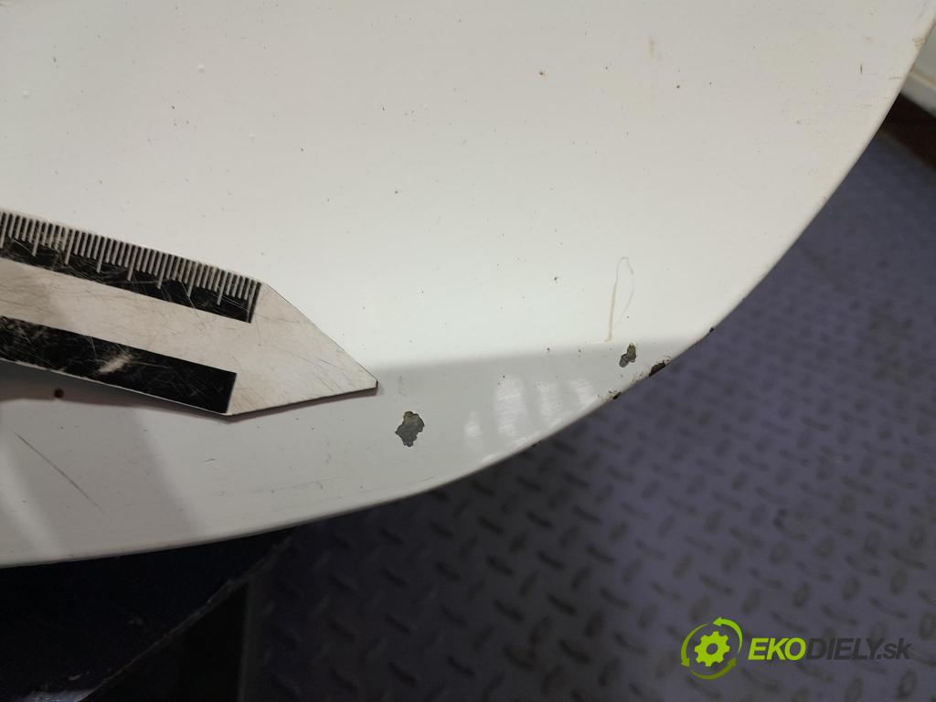 Renault Clio 2008 dvere Predné Vľavo: