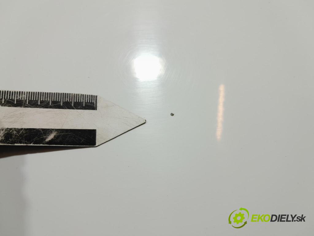 Renault Clio 2008 dvere Predné Vľavo: