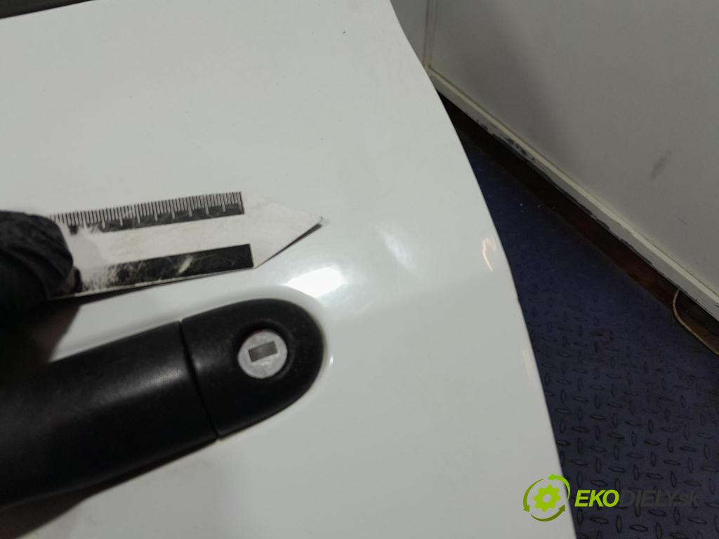 Renault Clio 2008 dvere Predné Vľavo: