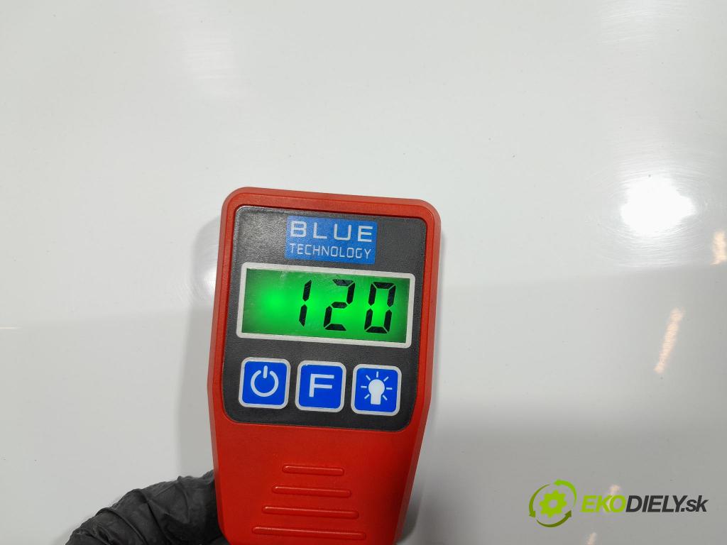 Renault Clio 2008 dvere Predné Vľavo: