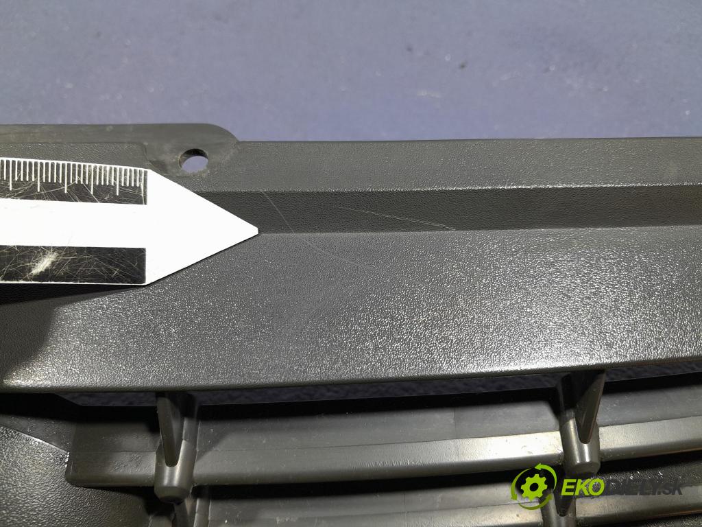 Ford Focus 2009 miežka / Gril: 8M51-8200-BE