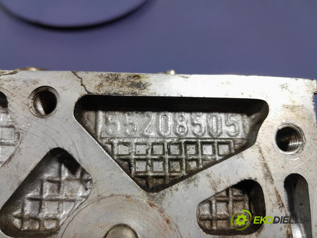 Fiat Linea 2008 Hlava: Motor: 55208505