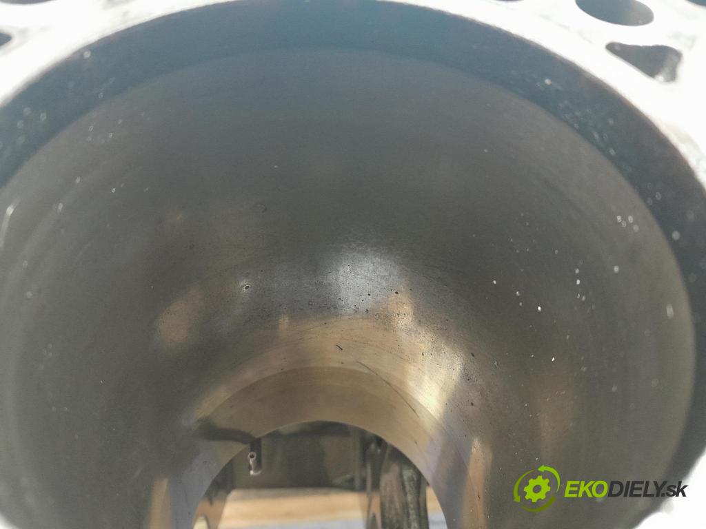 Audi A6 2011 Blok Motor: 059023AD