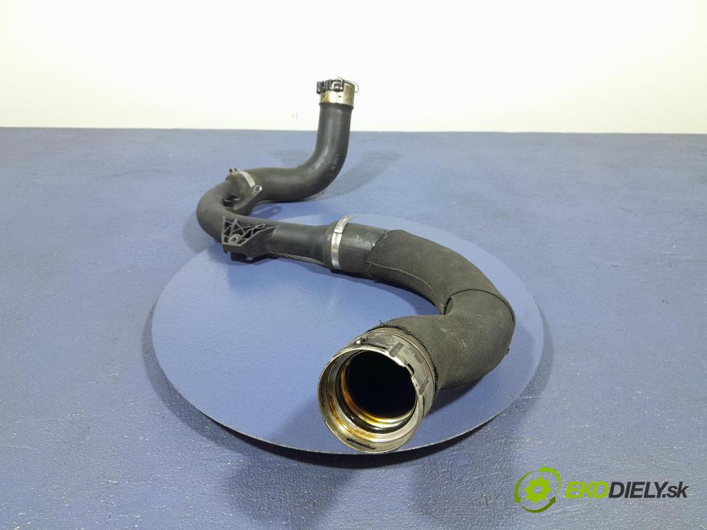 Dacia Sandero 2021 rúrka Vzduch: 144605006R