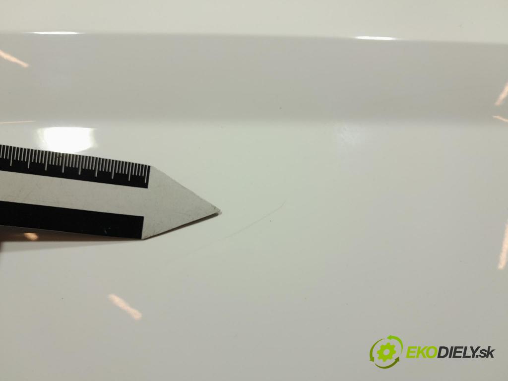 Skoda Fabia 2019 dvere Predné pravé