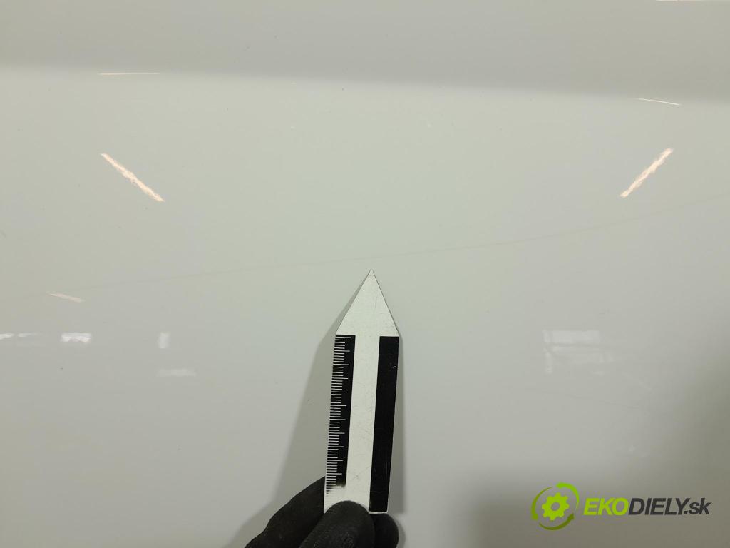 Skoda Fabia 2019 dvere Predné pravé