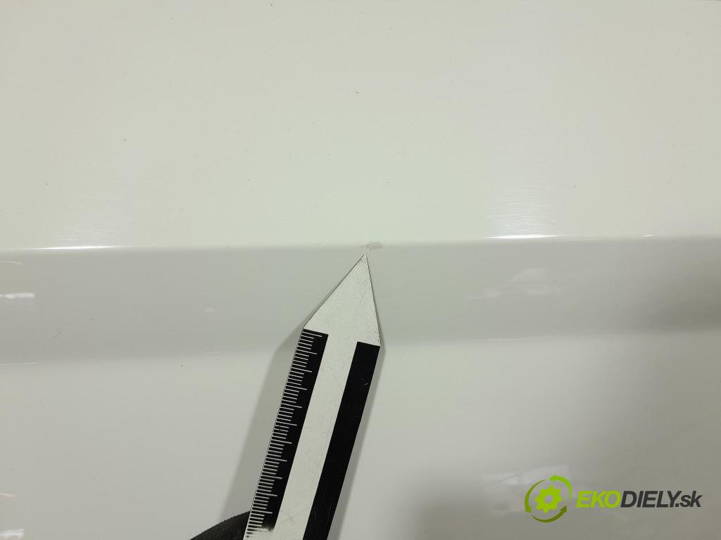 Skoda Fabia 2019 dvere Predné pravé