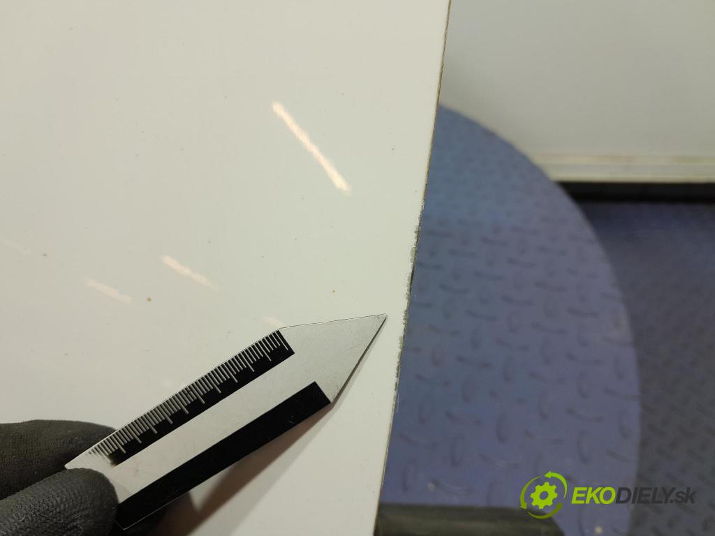 Skoda Fabia 2019 dvere Predné pravé