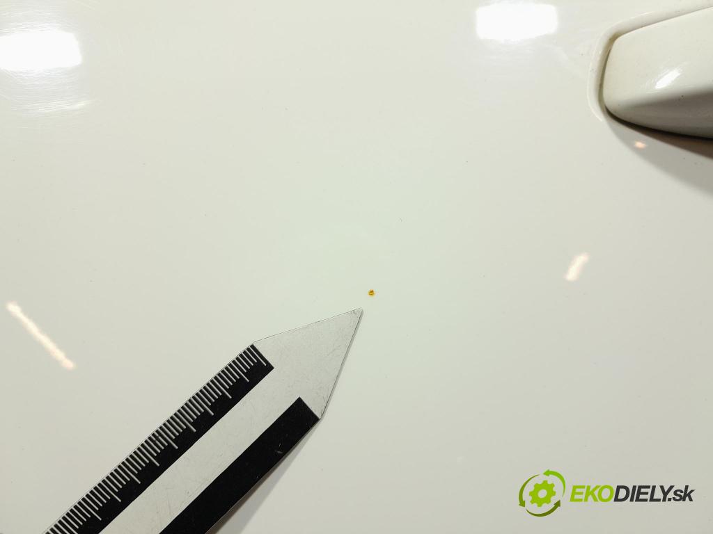 Skoda Fabia 2019 dvere zad Vľavo: