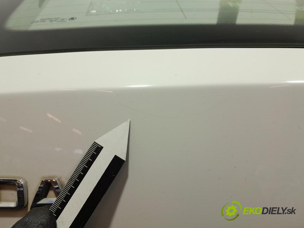 Skoda Fabia 2019 zadní dveře kufra: kufr