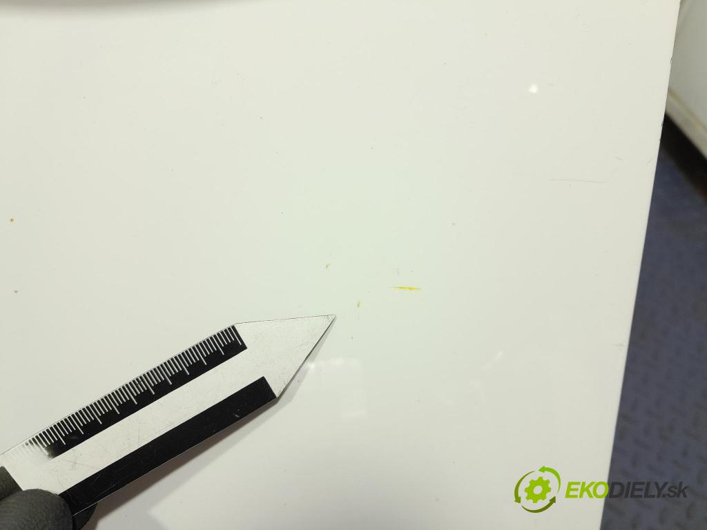 Skoda Fabia 2019 dvere Predné Vľavo: