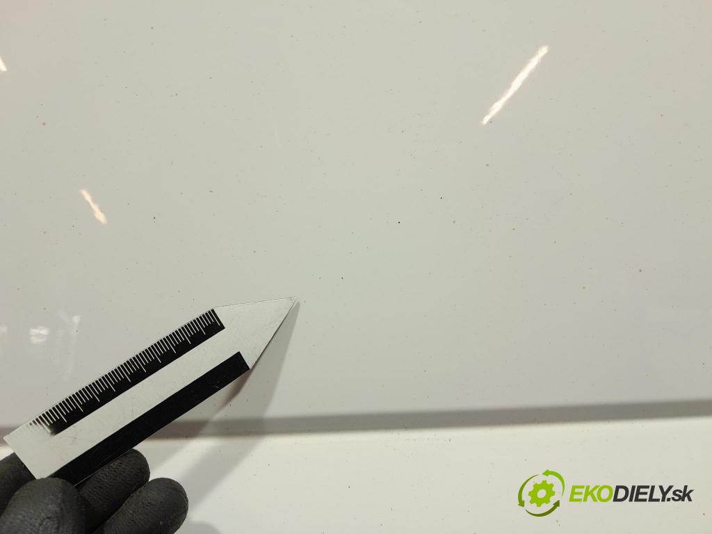 Skoda Fabia 2019 dvere Predné Vľavo: