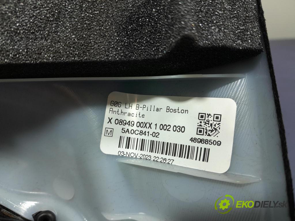 Bmw X6 2023 kryt Plast: Interiéry: 5A0C841