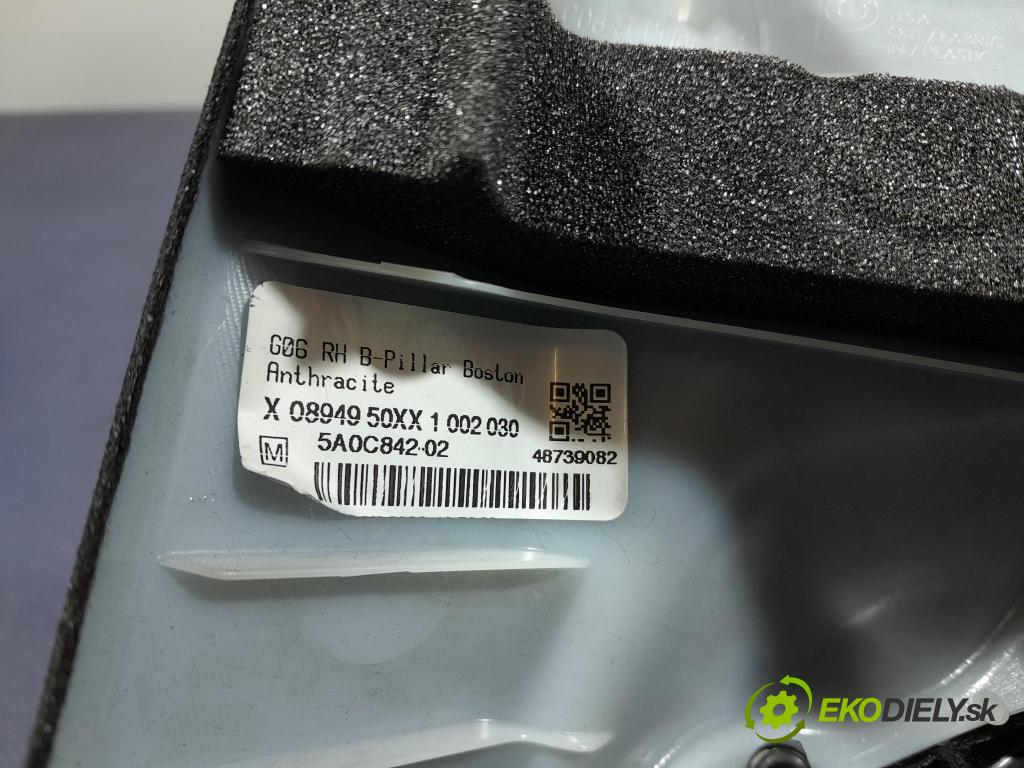 Bmw X6 2023 kryt Plast: Interiéry: 5A0C842
