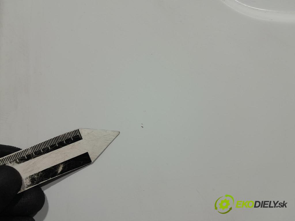 Renault Midlum 2011 dvere Predné Vľavo: