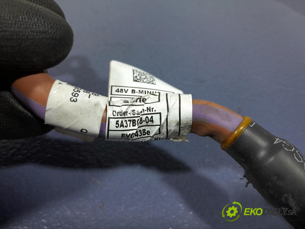 Bmw X6 2023 instalace Elektrický: 5A37BB9