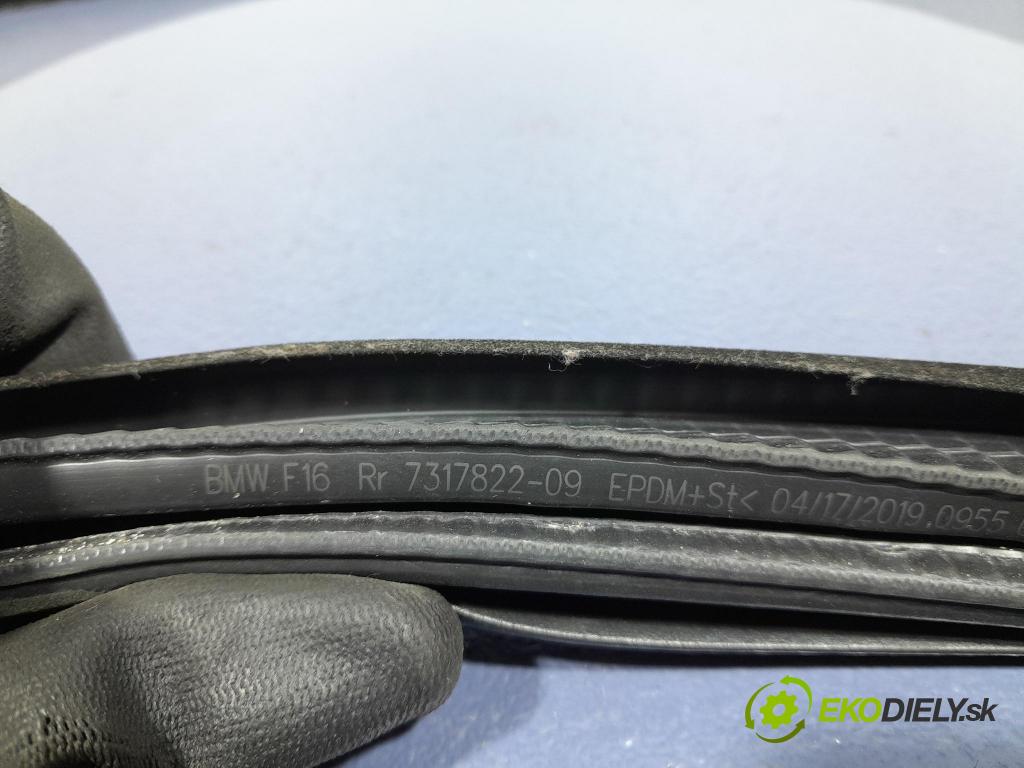 Bmw X6 2019 Těsnění: dveře 7317822