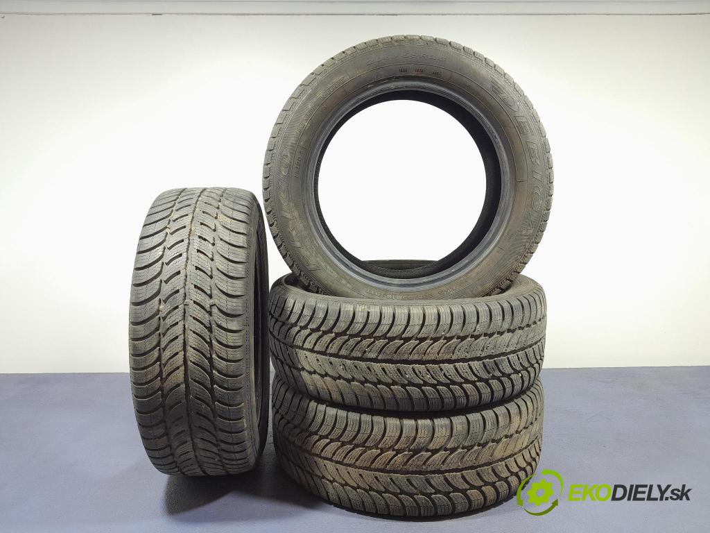 Vw Passat 2002 pneumatiky: Zima 5452000593900