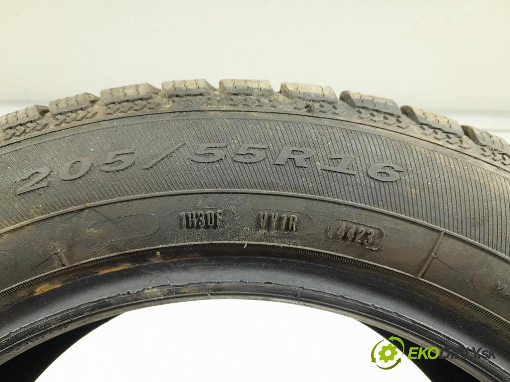 Vw Passat 2002 pneumatiky: Zima 5452000593900