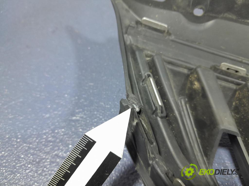Skoda Citigo 2018 miežka / Gril: 1ST853653D