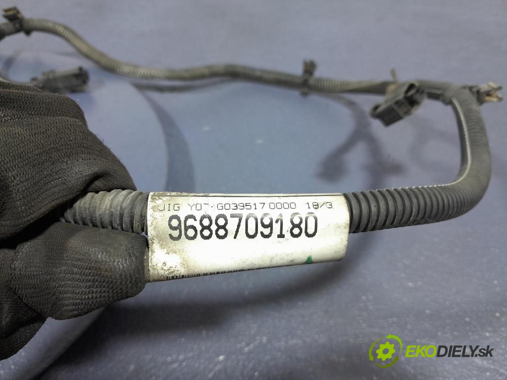 Peugeot 5008 2010 instalace Elektrický: 9688709180