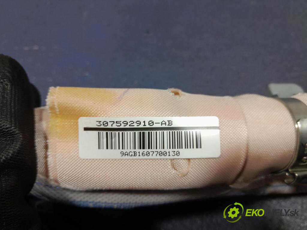 Skoda Rapid 2016 Airbag: clona x 5JA880741D