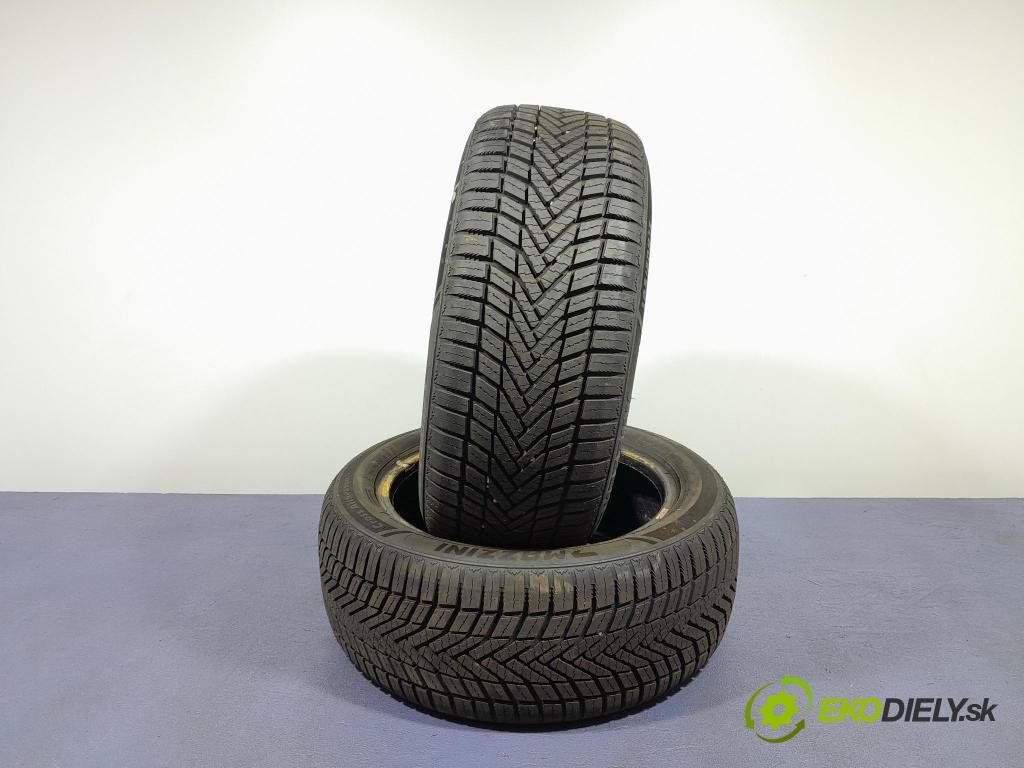 Ford Fiesta 2011 pneumatika Multi-sezóna: 6924590218918