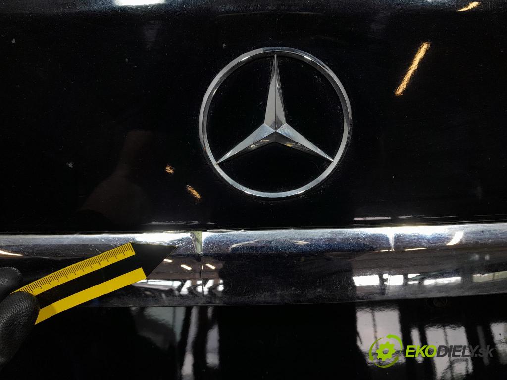 Mercedes B-klasa 2009 zadní dveře kufra: kufr