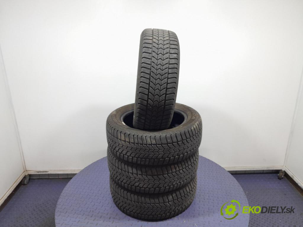 Peugeot 307 2007 pneumatika ZIMA: 4038526356123