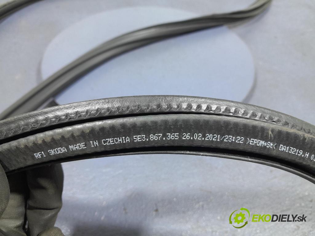 Skoda Octavia 2021 Těsnění: dvere 5E3867365