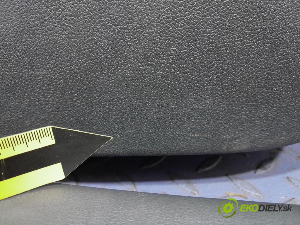 Peugeot 3008 2009 Tapacír: Soubor: