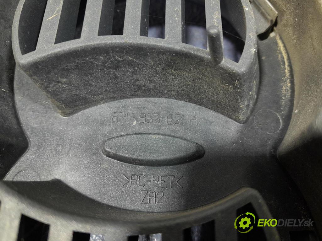 Audi A3 2005 miežka / Gril: 8P4853651A
