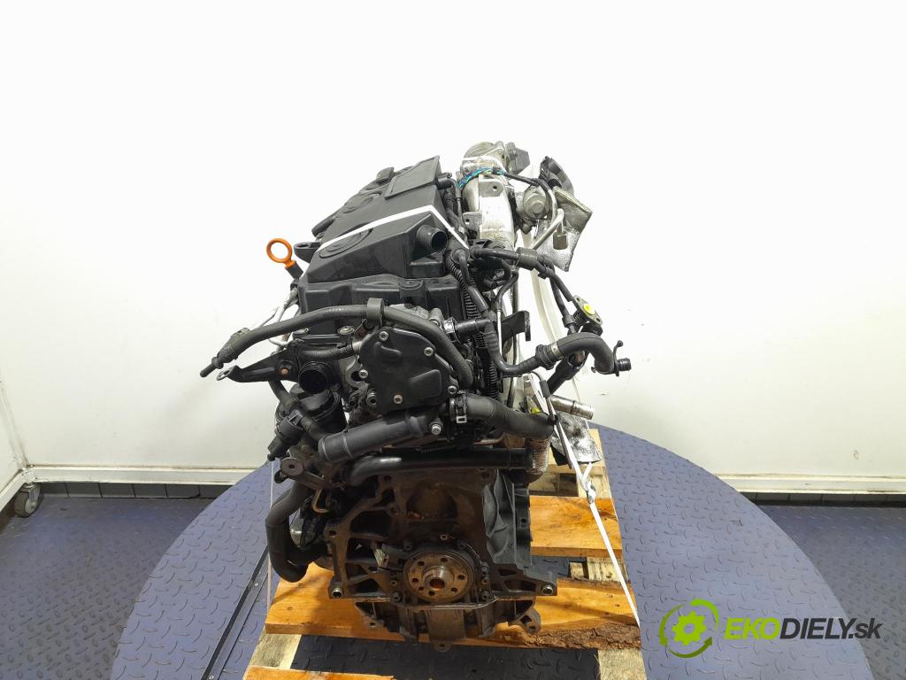 Vw Golf 2008 motor Diesel: BLS