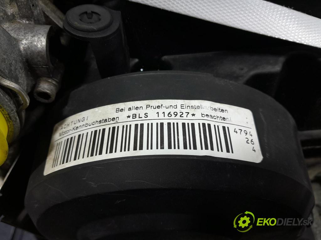 Seat Leon 2006 motor Diesel: BLS